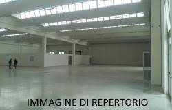 capannone in affitto a Borso del Grappa