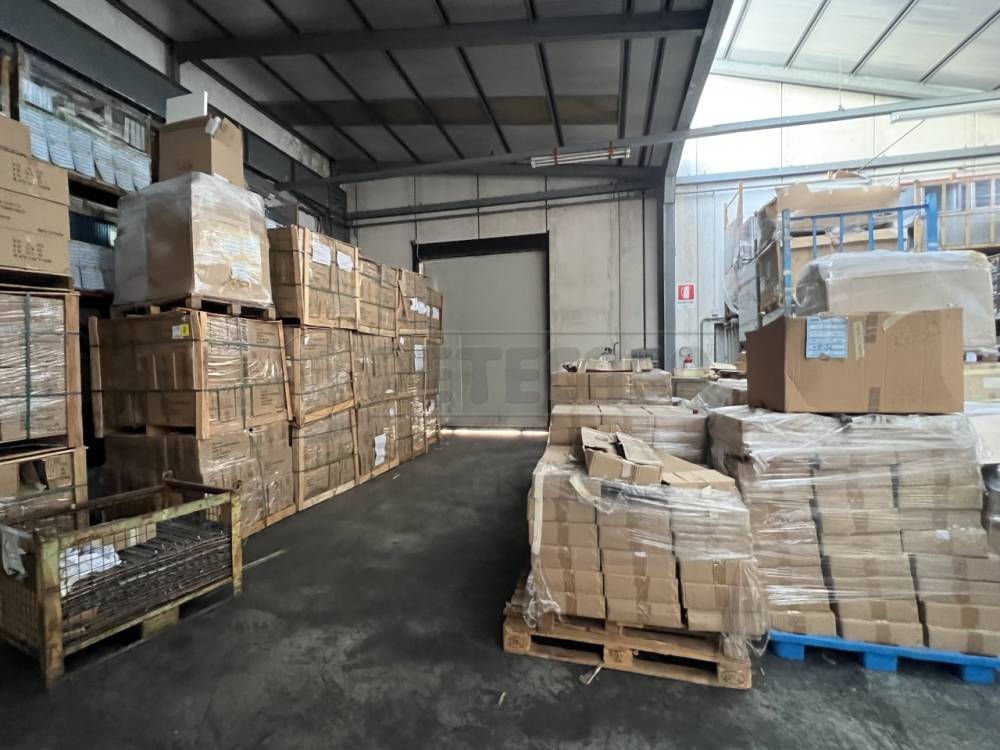 capannone in affitto a Borso del Grappa