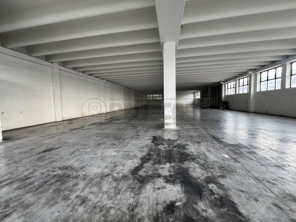 capannone in affitto a Borso del Grappa