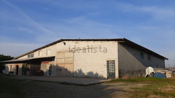 capannone in affitto a Carbonera