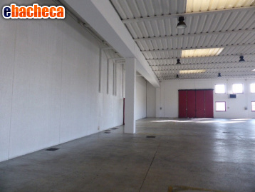 ufficio in affitto a Casale sul Sile