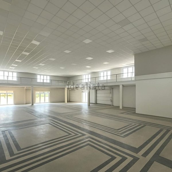 locale commerciale in affitto a Casale sul Sile