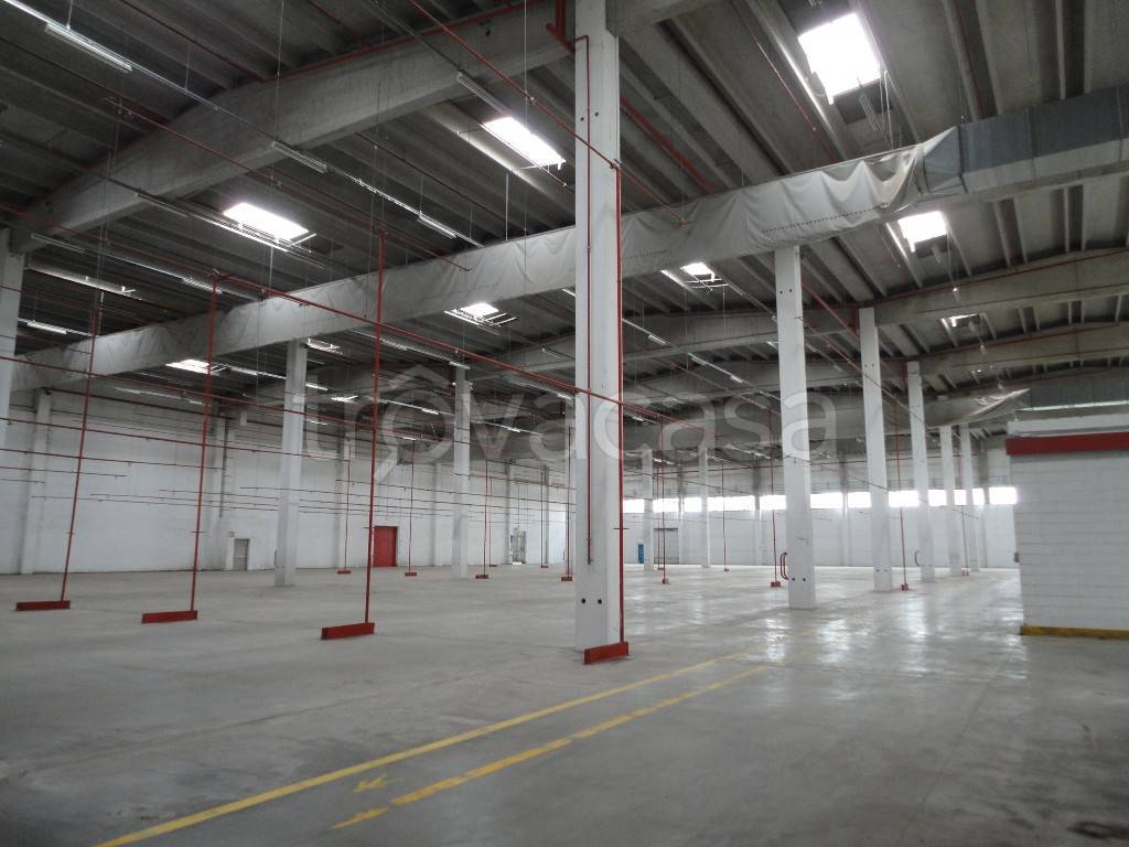 capannone in affitto a Casale sul Sile