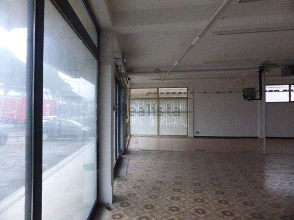 casa indipendente in affitto a Casale sul Sile