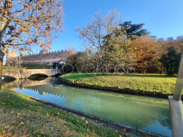 negozio in affitto a Castelfranco Veneto