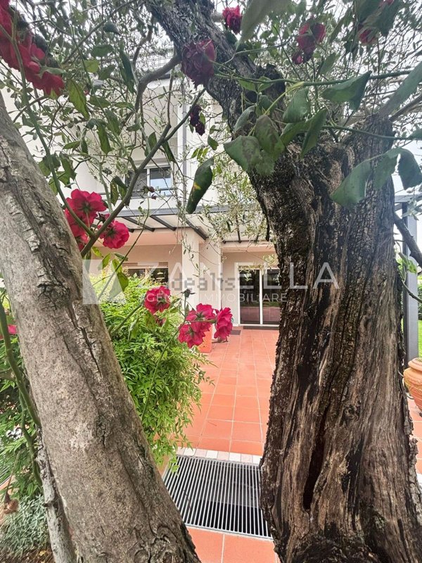 casa indipendente in affitto a Castelfranco Veneto