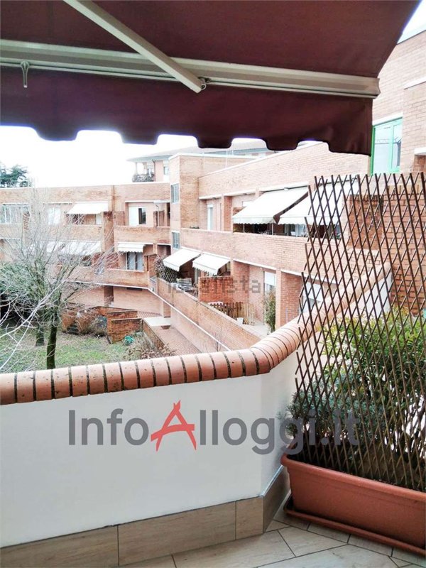 monolocale in affitto a Castelfranco Veneto