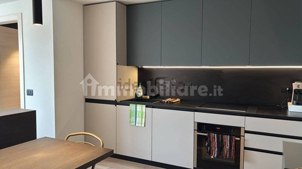 appartamento in affitto a Castelfranco Veneto in zona Salvarosa