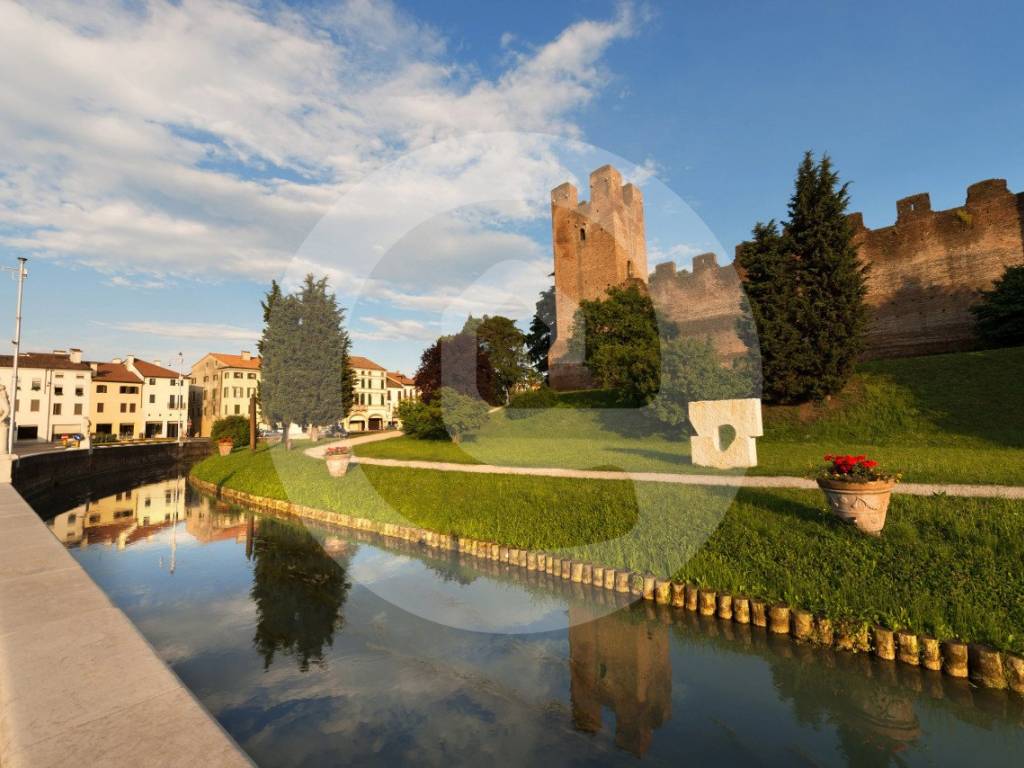 negozio in affitto a Castelfranco Veneto in zona Campigo
