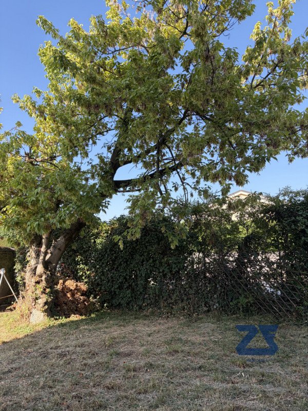appartamento in affitto a Castelfranco Veneto in zona Salvarosa