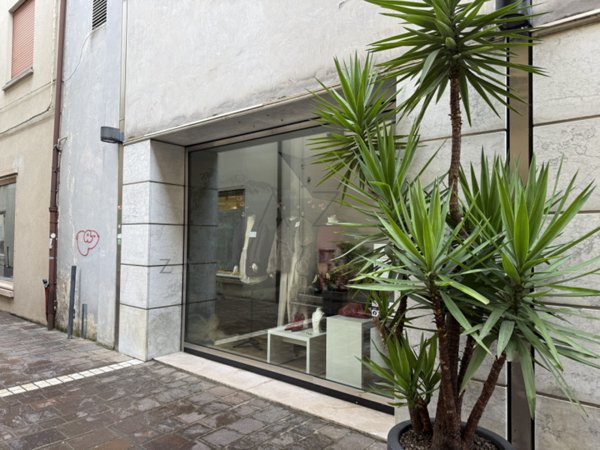 negozio in affitto a Castelfranco Veneto in zona Salvarosa