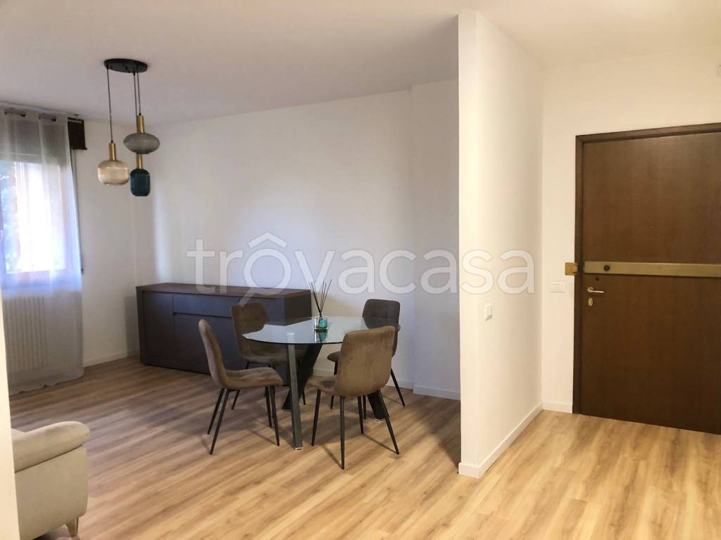 appartamento in affitto a Castelfranco Veneto