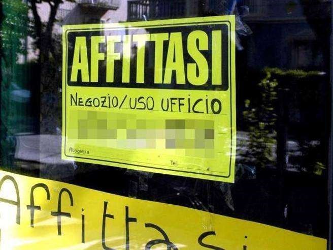 monolocale in affitto a Codognè