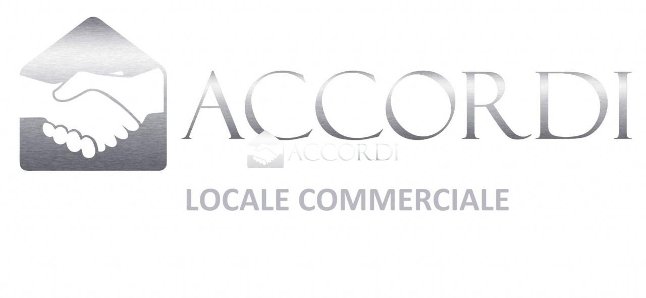 appartamento in affitto a Conegliano