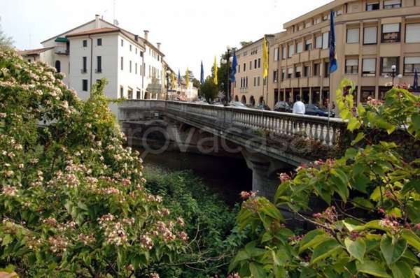 monolocale in affitto a Conegliano