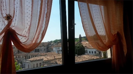 appartamento in affitto a Conegliano