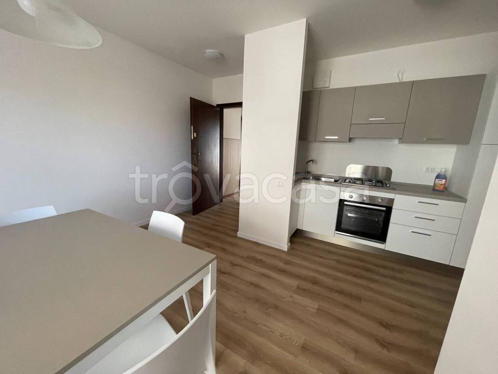 appartamento in affitto a Conegliano