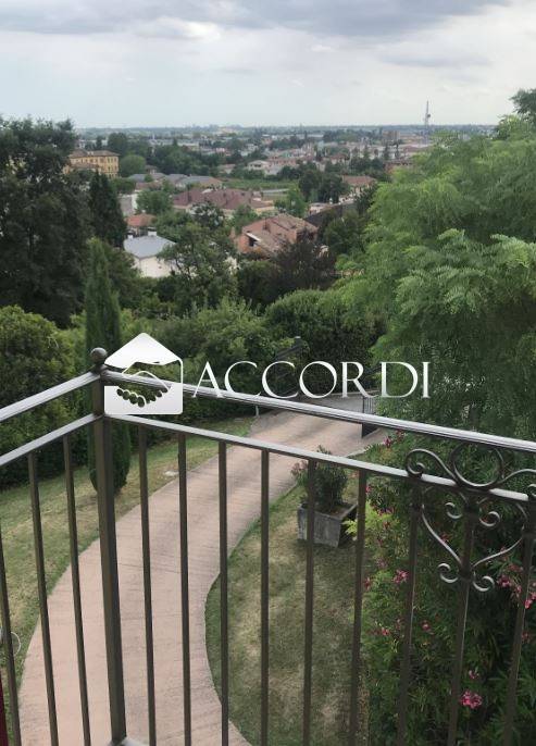 appartamento in affitto a Conegliano