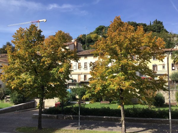 appartamento in affitto a Conegliano