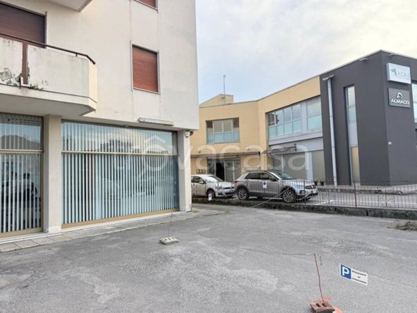 appartamento in affitto a Conegliano