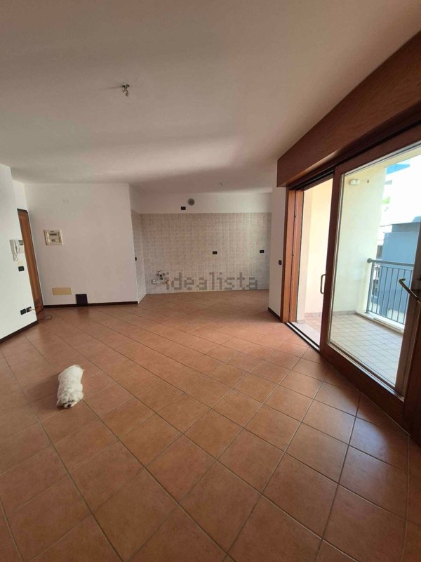 appartamento in affitto a Conegliano