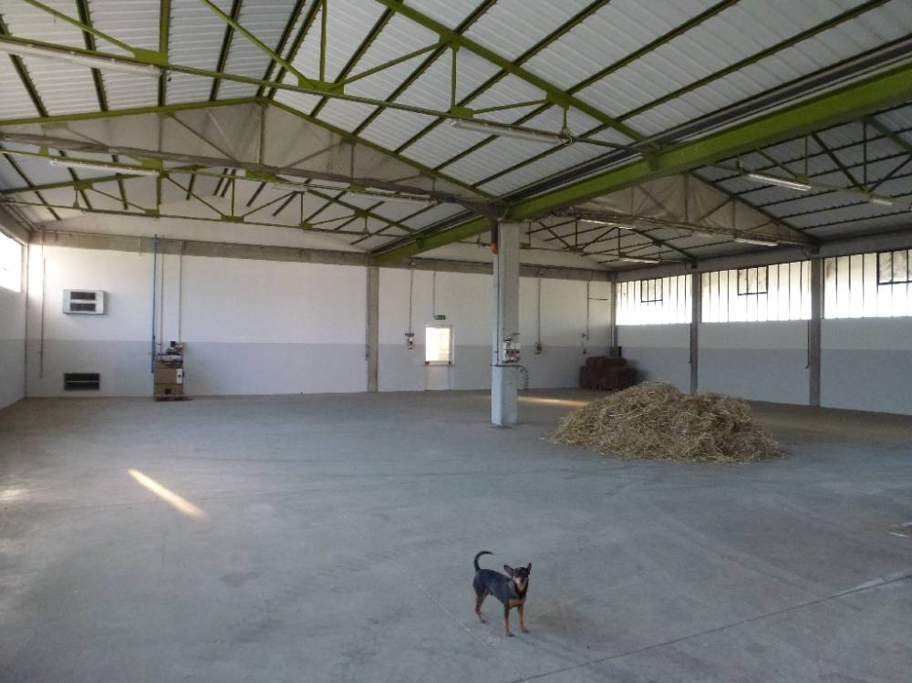 capannone in affitto a Gaiarine