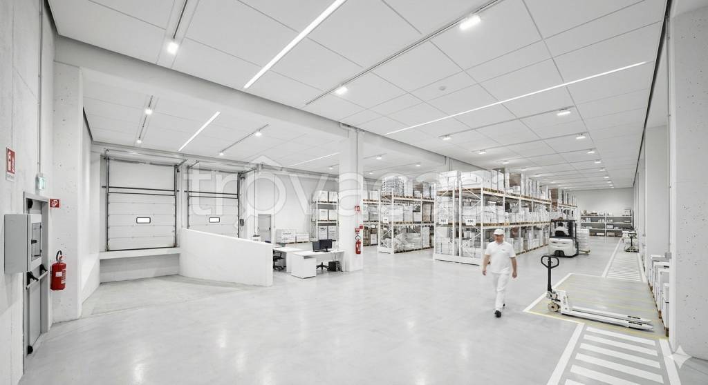 locale commerciale in affitto ad Istrana