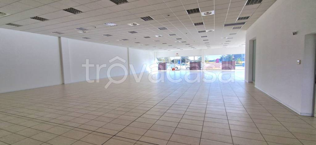 immagine annuncio 0 di 2