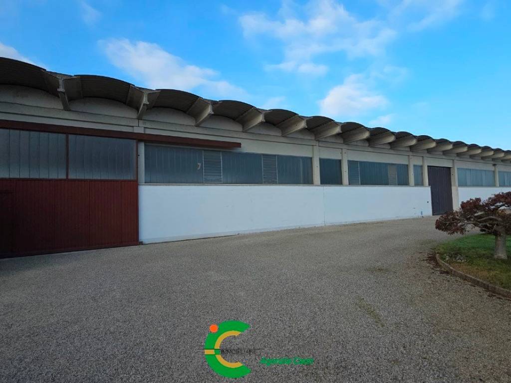 capannone in affitto a Loria in zona Bessica