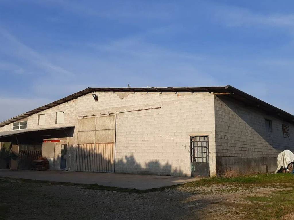 locale commerciale in affitto a Maserada sul Piave