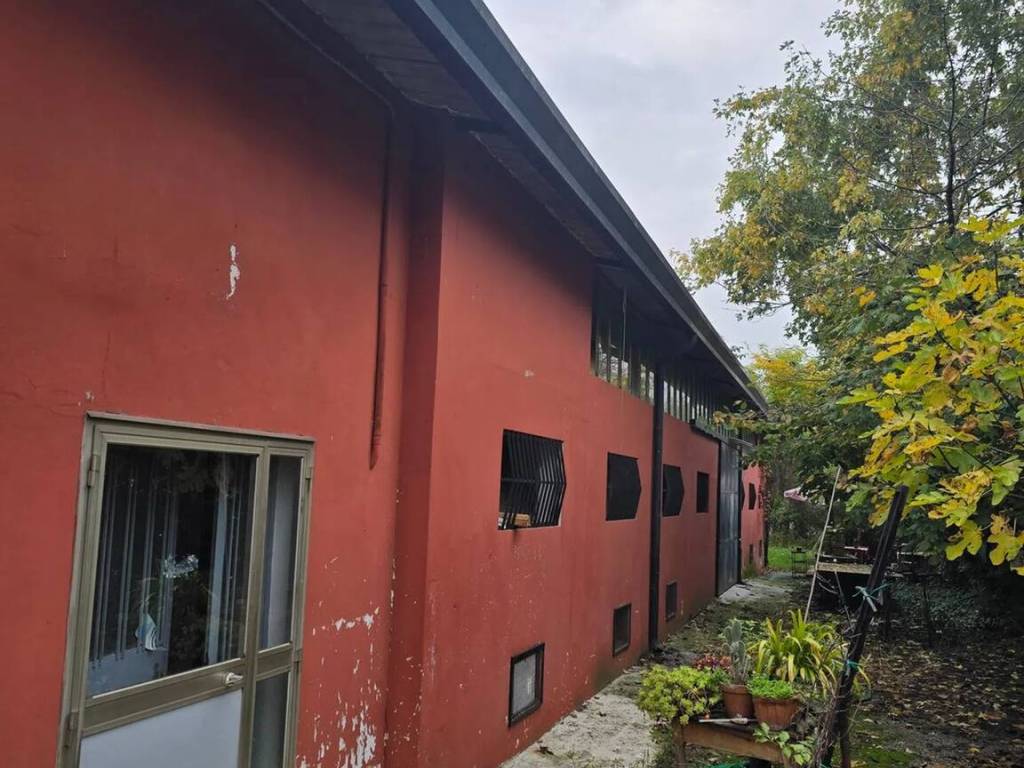 locale commerciale in affitto a Mogliano Veneto in zona Campocroce