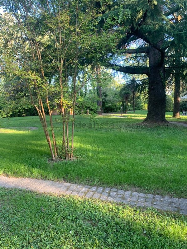 appartamento in affitto a Mogliano Veneto