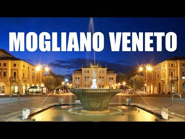 negozio in affitto a Mogliano Veneto