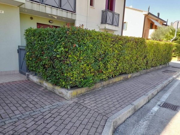immagine annuncio 0 di 1