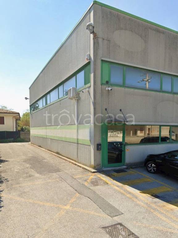 appartamento in affitto a Montebelluna