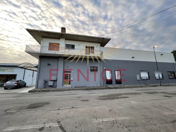 negozio in affitto a Montebelluna
