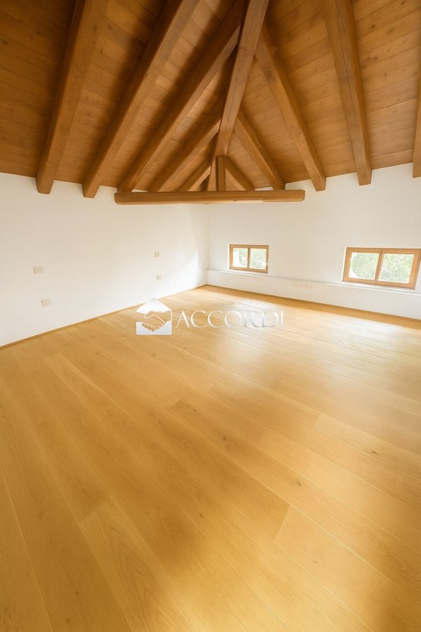 appartamento in affitto a Montebelluna