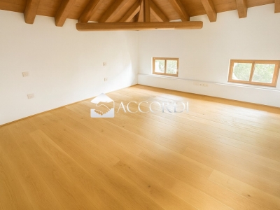 appartamento in affitto a Montebelluna