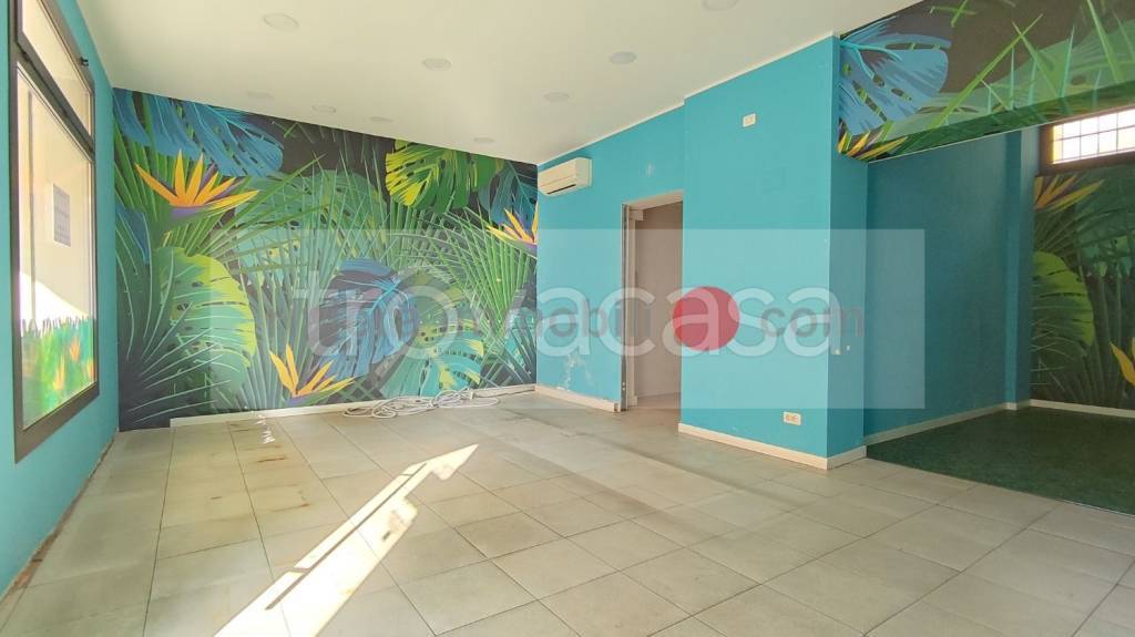 negozio in affitto a Montebelluna