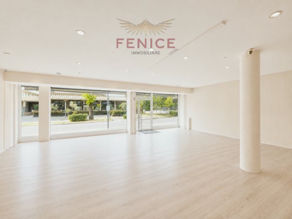 loft in affitto a Montebelluna in zona La Pieve