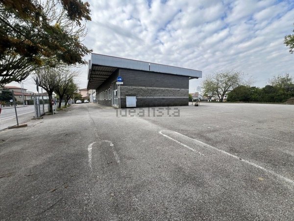 immagine annuncio 0 di 1