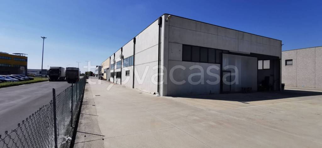 locale commerciale in affitto a Morgano in zona Badoere