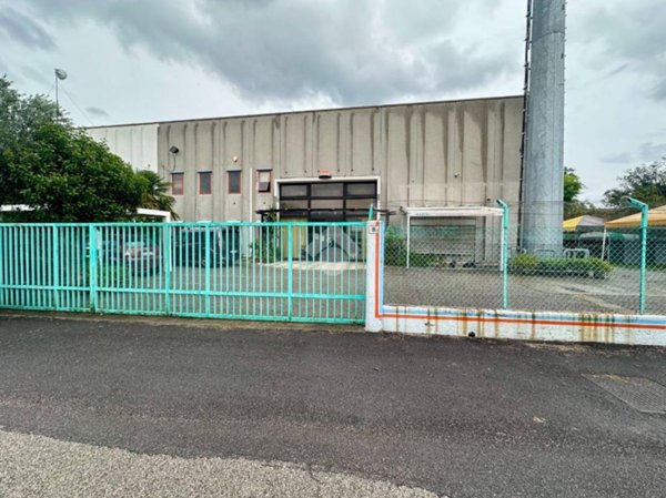 locale commerciale in affitto a Paese in zona Postioma