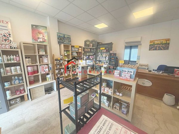appartamento in affitto a Ponzano Veneto in zona Paderno