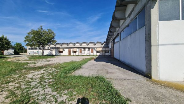 capannone in affitto a Ponzano Veneto in zona Paderno