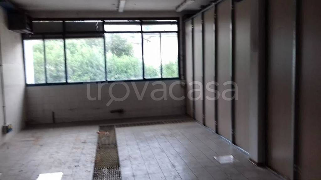 negozio in affitto a Quinto di Treviso
