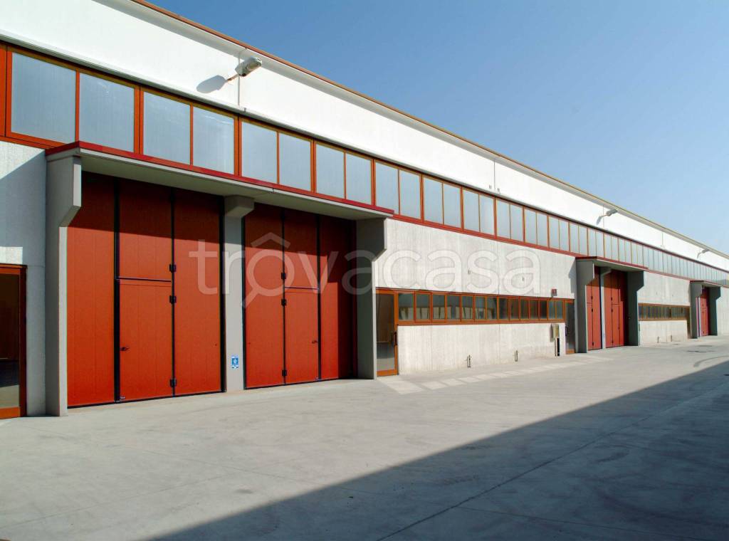 capannone in affitto a Quinto di Treviso