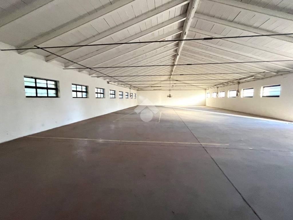 locale commerciale in affitto a Resana