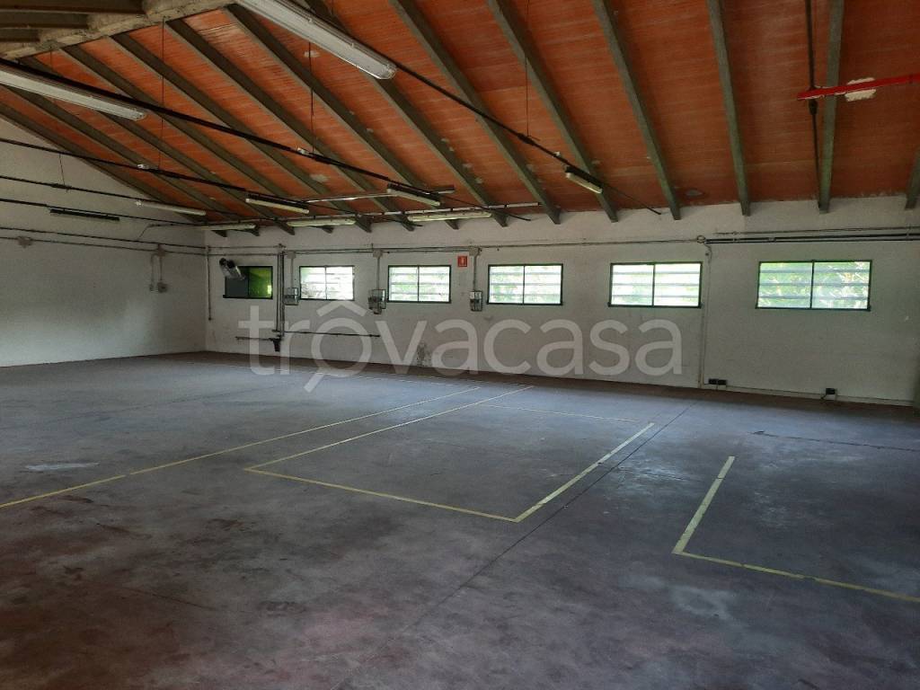 locale commerciale in affitto a Resana