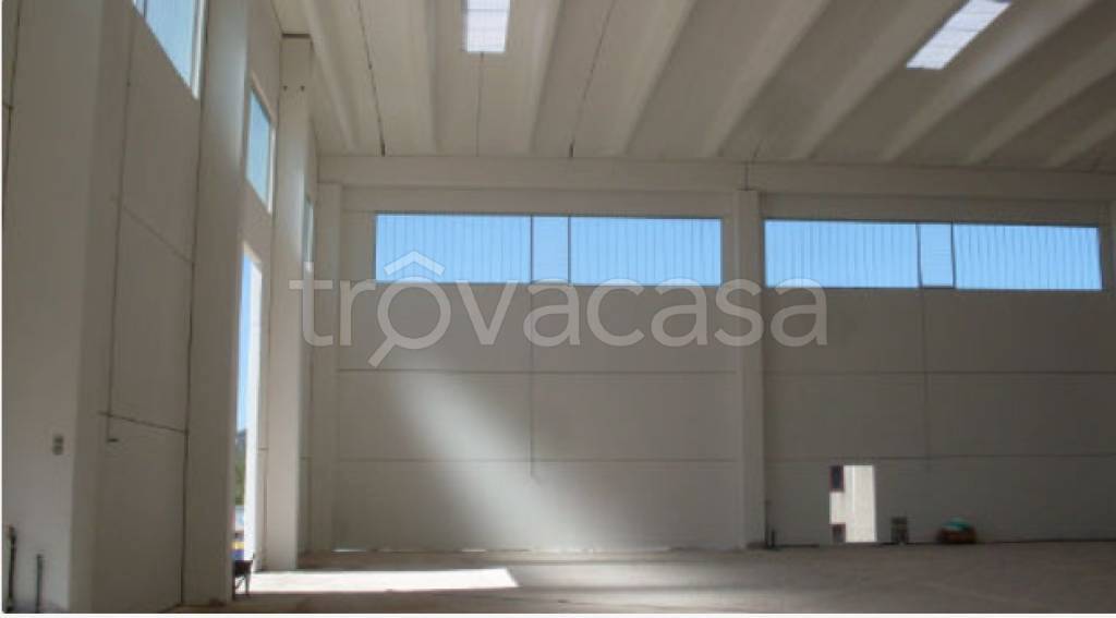 locale commerciale in affitto a Riese Pio X in zona Poggiana